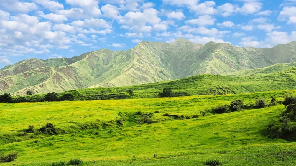 A green field with mountains in the background. 2
