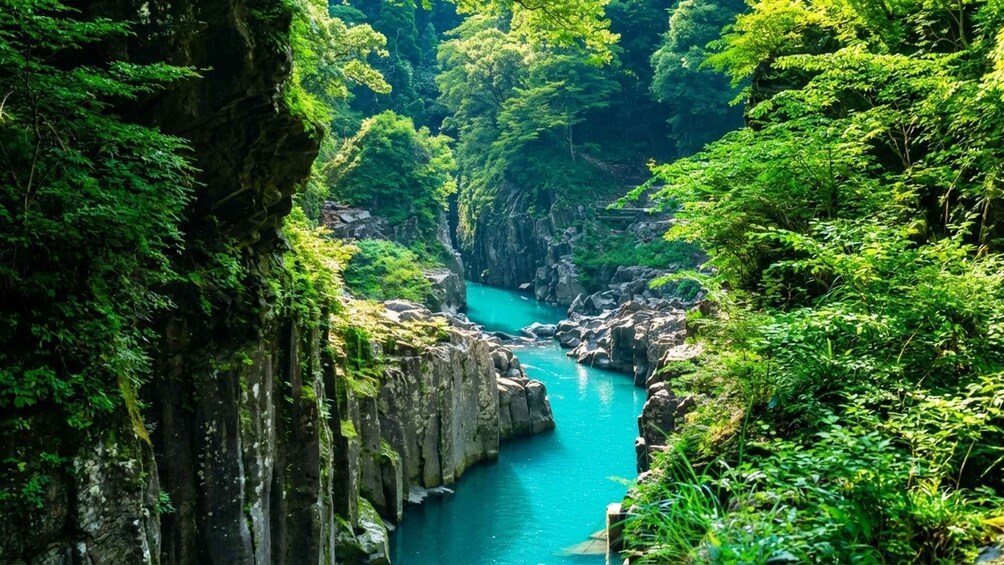 A turquoise river winding through a canyon with dense green foliage. 4