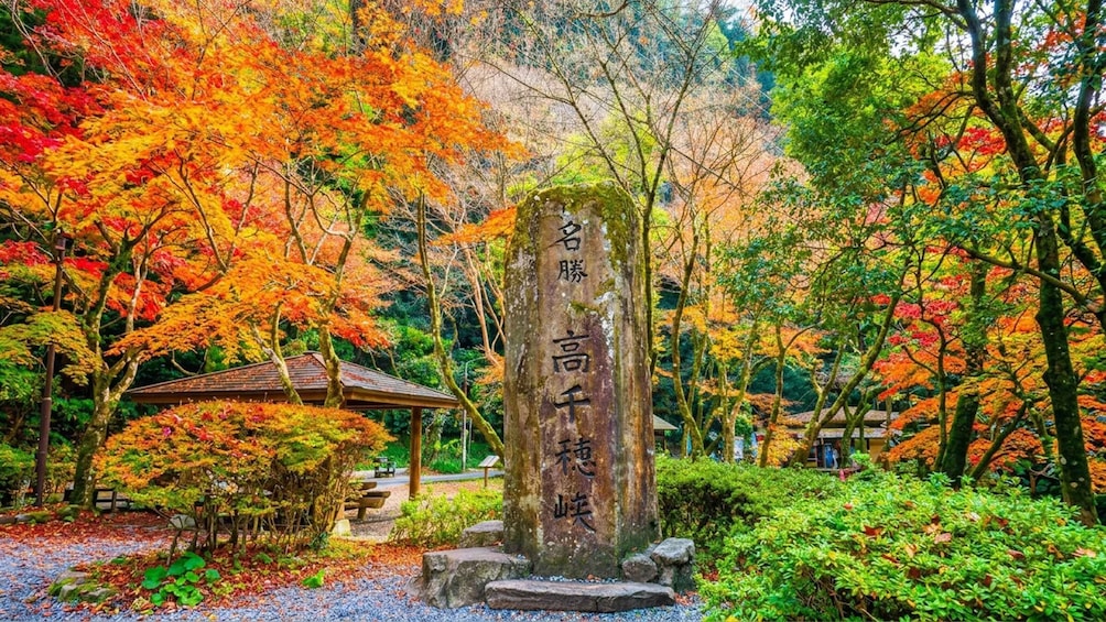 Picture 4 for Activity Mt. Aso & Takachiho Gorge Tour with Optional Boat Ride 4