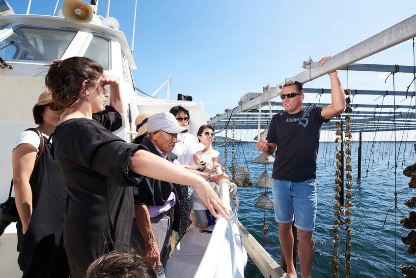 Picture 10 for Activity Bouzigues: Boat tour of the oyster beds in the Thau Lagoon 5
