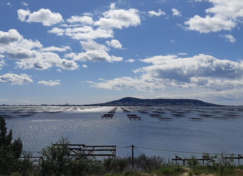 A coastal area with a series of wooden docks extending into the water, a clear sky with scattered clouds, and a distant hill. 3