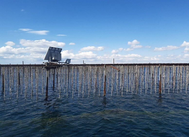 A pier with solar panels and a clear blue sky. 4