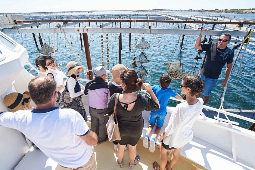Bouzigues: Boat tour of the oyster beds in the Thau Lagoon 3