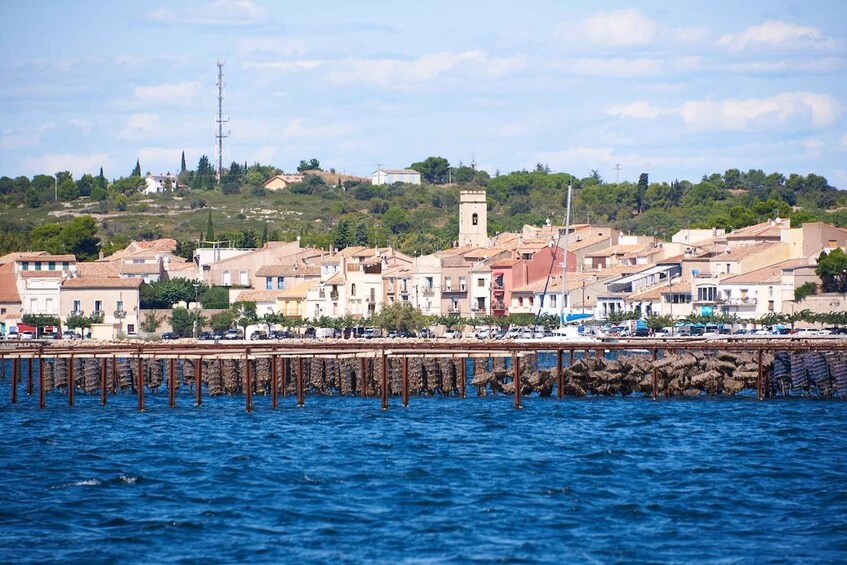 Picture 9 for Activity Bouzigues: Boat tour of the oyster beds in the Thau Lagoon 2