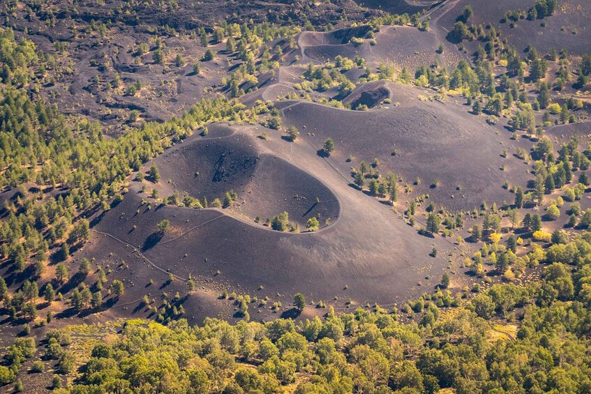 A volcanic landscape with winding lava flows and scattered trees. 2