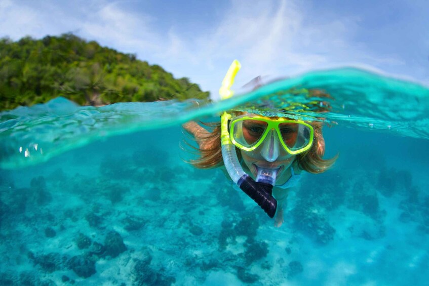 A person snorkeling underwater with clear water and a green island in the background. 1