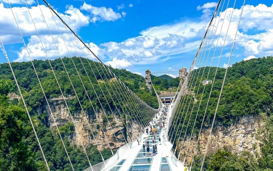 Picture 20 for Activity Zhangjiajie Luxury Private Tour with Personal Guide 2