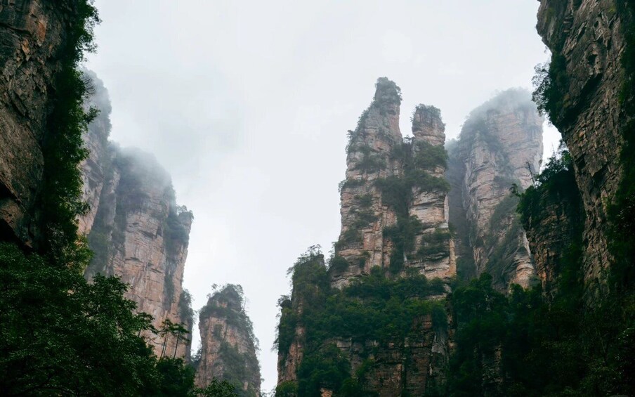 Picture 17 for Activity Zhangjiajie Luxury Private Tour with Personal Guide 5