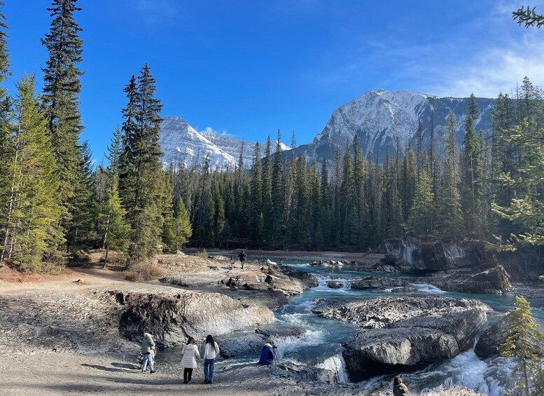 A river flowing through a forest with mountains in the background. 4