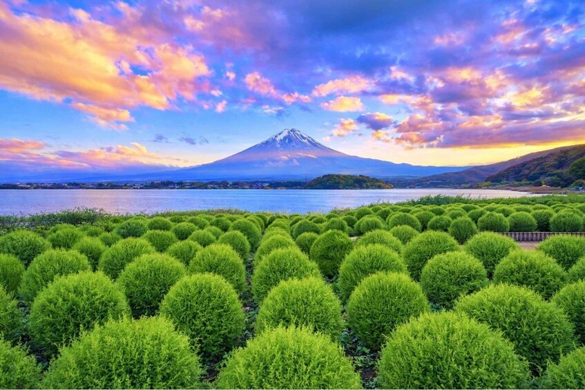 A mountain, a lake, and neatly trimmed bushes. 3