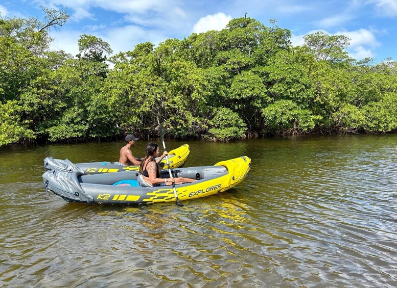 Two people in a yellow inflatable raft on a river surrounded by dense mangrove trees. 4
