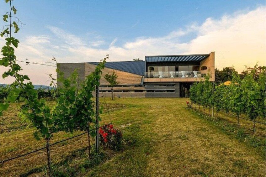 Private Wine tour Esterházy from Vienna 2