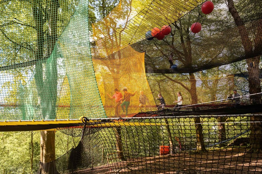 An outdoor netted obstacle course with trees and a wooden structure. 5