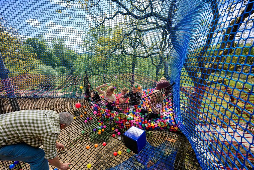 Children playing in a ball pit inside a netted enclosure. 4