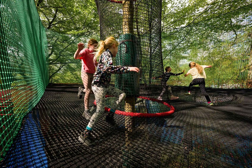 People playing on a rope bridge in a forest. 2
