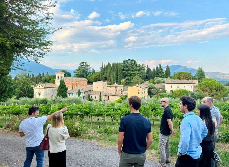 A group of people observing a vineyard with buildings in the background. 1