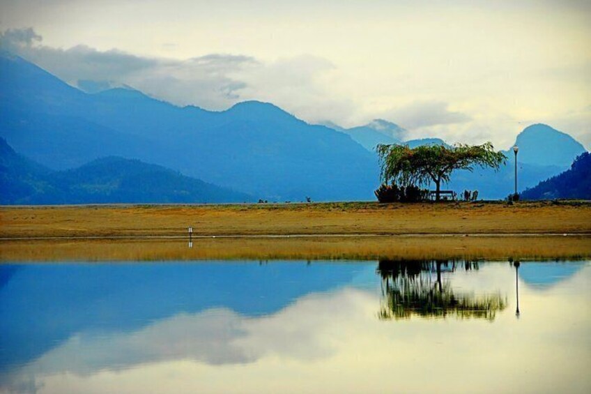 A calm lake with a reflection of a tree and mountains in the background. 3