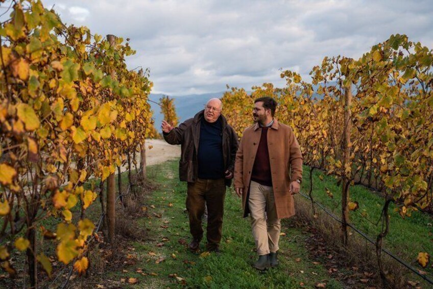 Two people walking through a vineyard with rows of grapevines. 1