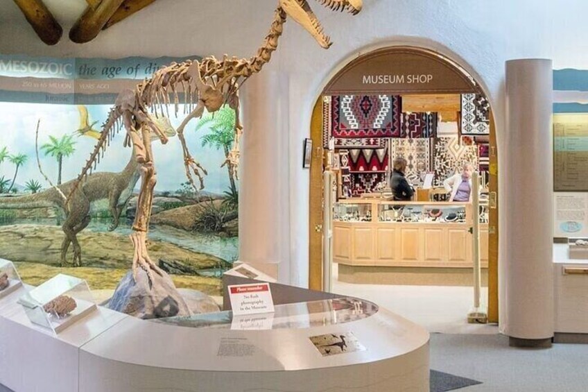 A museum shop with a dinosaur skeleton display and a sign reading 'Museum Shop.' 2
