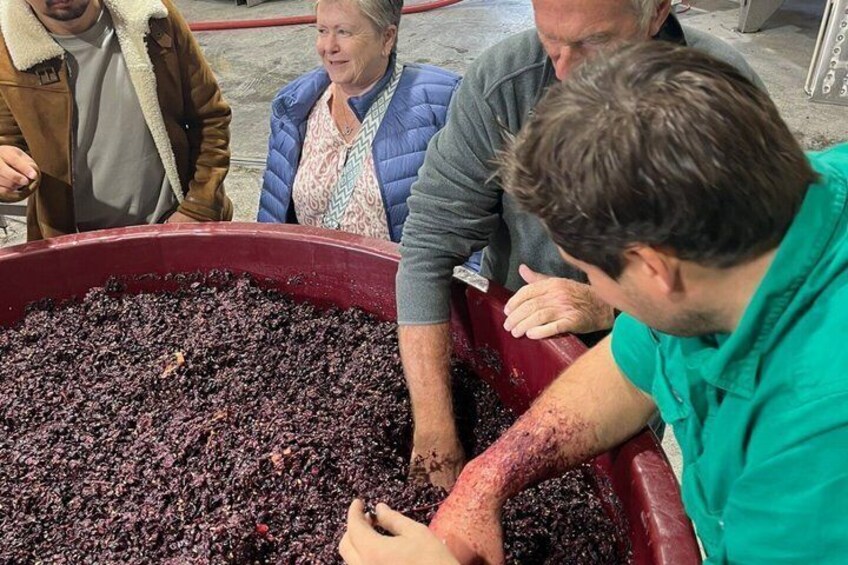 A group of people observing a large container filled with dark-colored berries. 3