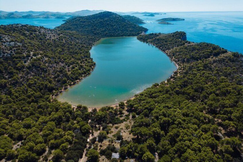 An aerial view of a coastal area with a large body of water surrounded by dense forest. 2