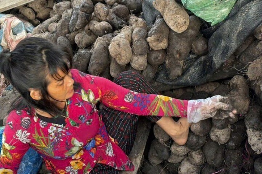 A person handling large quantities of potatoes. 4