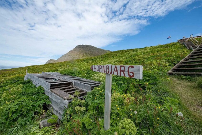 A signpost with 'HORNJARG' written on it, surrounded by lush greenery and a mountain in the background. 5