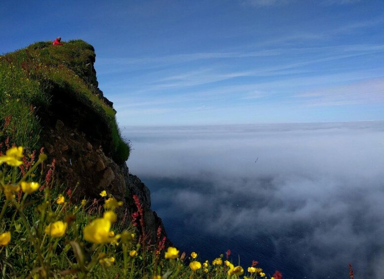 A person on a grassy cliff edge overlooking a sea of clouds. 2