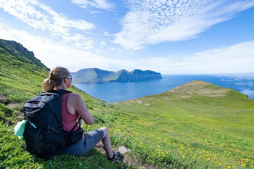 A person sitting on a grassy hill overlooking a coastline with cliffs and the sea. 1