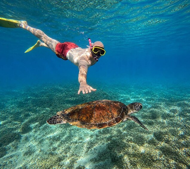 Bali: Blue Lagoon Snorkeling With Optional Bali Tour 1