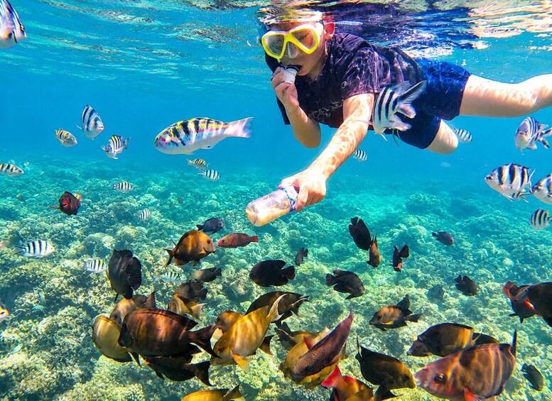 Picture 14 for Activity Bali: Blue Lagoon Snorkeling With Optional Bali Tour 2