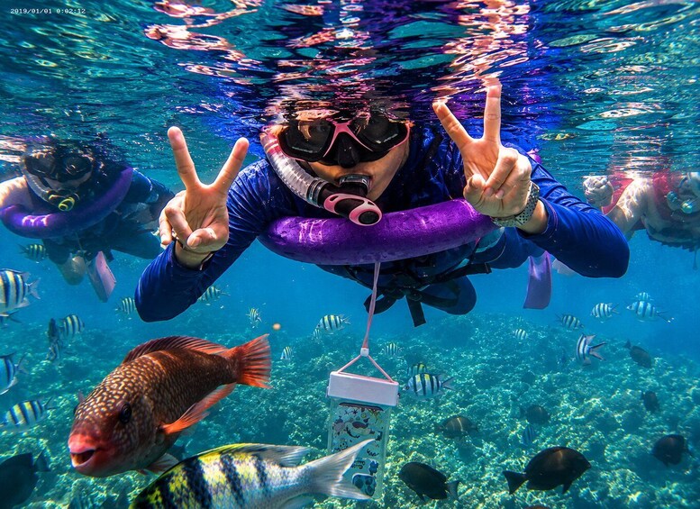 Picture 2 for Activity Bali: Blue Lagoon Snorkeling With Optional Bali Tour 5