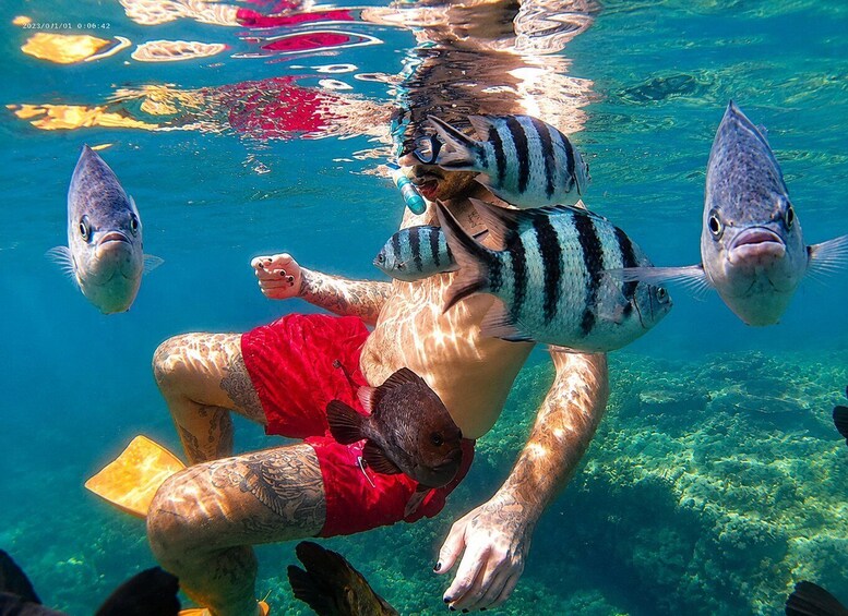 Picture 7 for Activity Bali: Blue Lagoon Snorkeling With Optional Bali Tour 2
