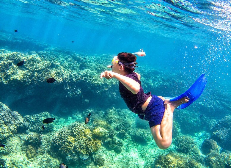 Picture 12 for Activity Bali: Blue Lagoon Snorkeling With Optional Bali Tour 5