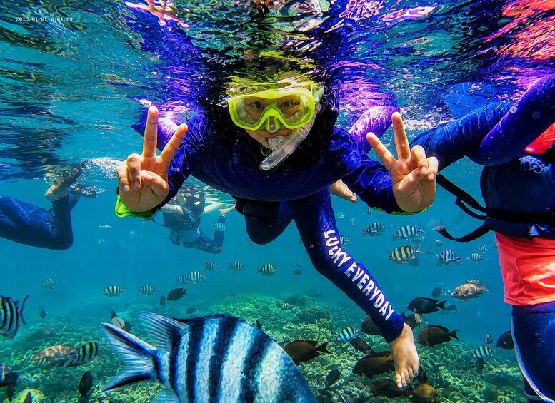 Picture 8 for Activity Bali: Blue Lagoon Snorkeling With Optional Bali Tour 3