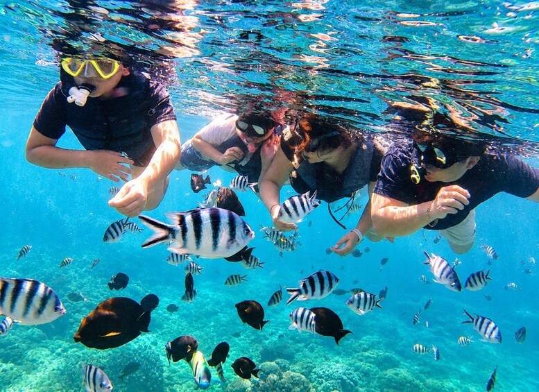Picture 10 for Activity Bali: Blue Lagoon Snorkeling With Optional Bali Tour 3