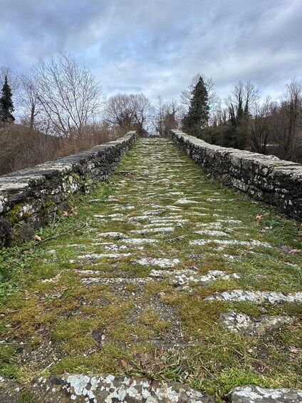 A stone pathway flanked by stone walls, leading through a grassy area with trees in the background. 3