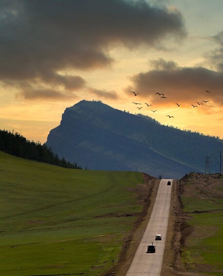 A road leading to a mountain with a flock of birds flying overhead. 1