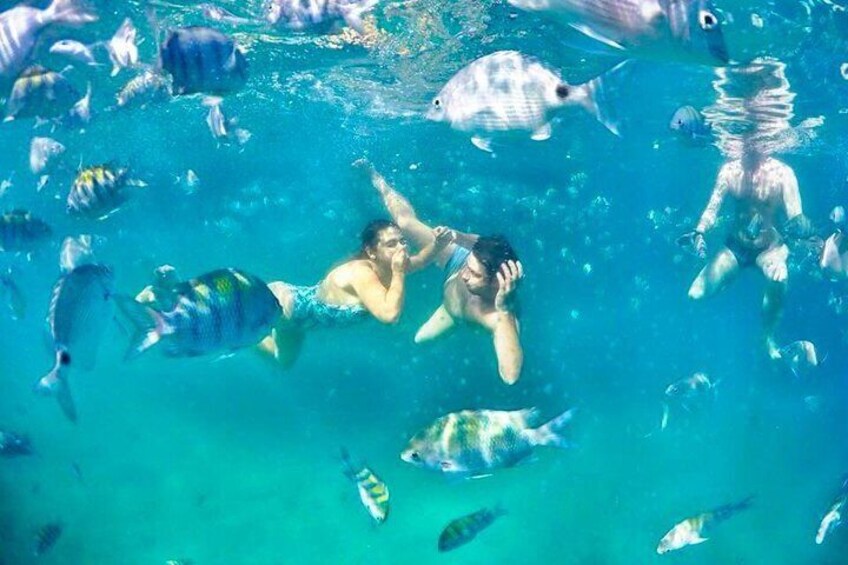Two people swimming underwater with various fish around them. 1