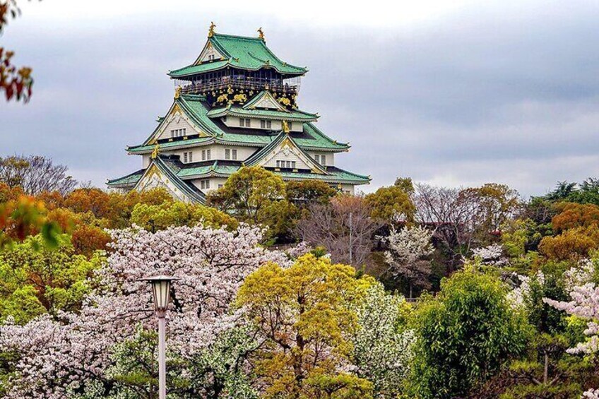 A traditional Japanese castle with green roofs, surrounded by cherry blossoms. 5