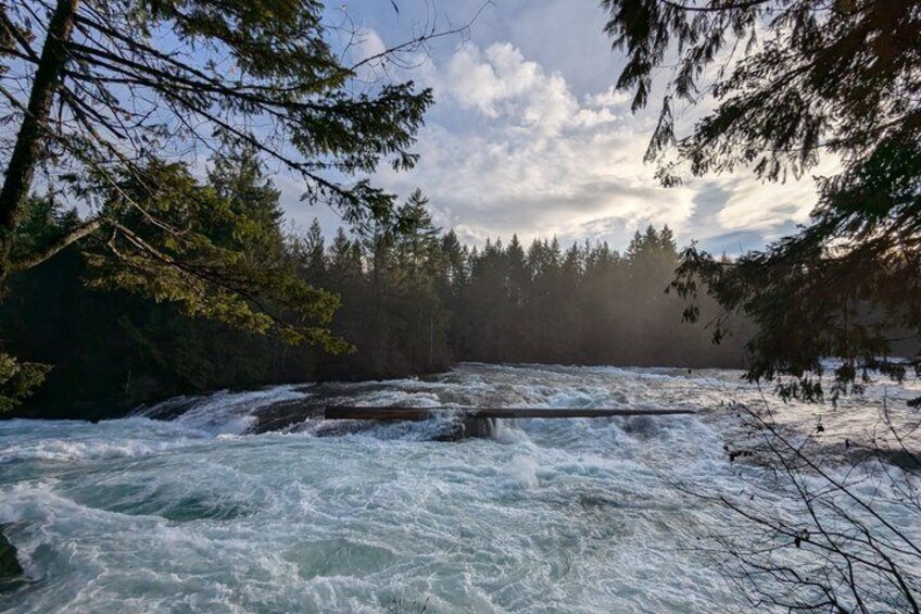 A turbulent river surrounded by dense forest. 1