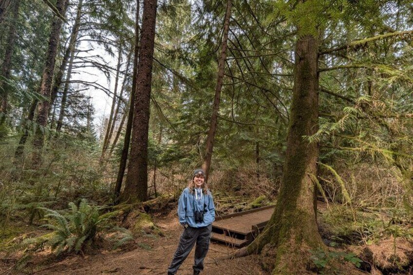 A person standing in a forest with tall trees and a wooden bridge. 3