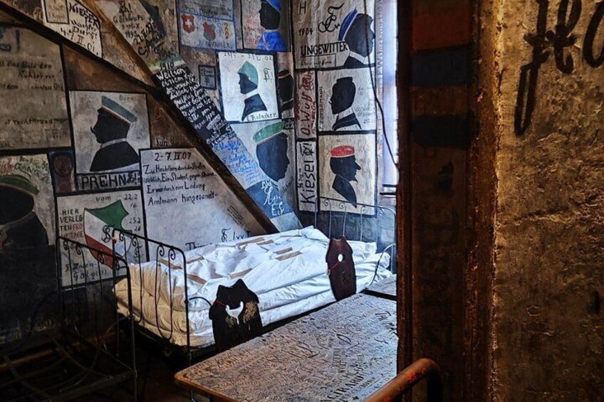 A room with a bed, posters, and a cat. 3