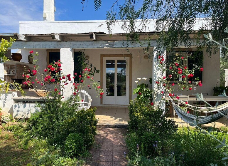 A white house with a garden, a hammock, and red flowers. 5