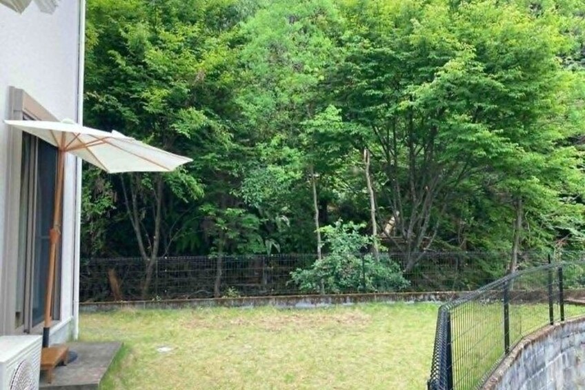 A residential backyard with a lawn, a white umbrella, a fence, and dense trees. 3