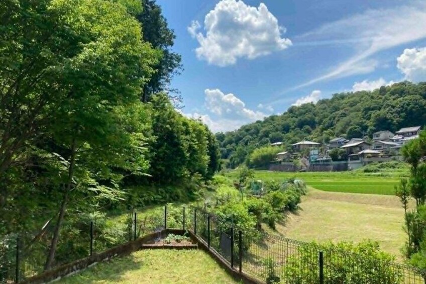 A rural landscape with a fenced field, trees, and houses on a hillside. 1