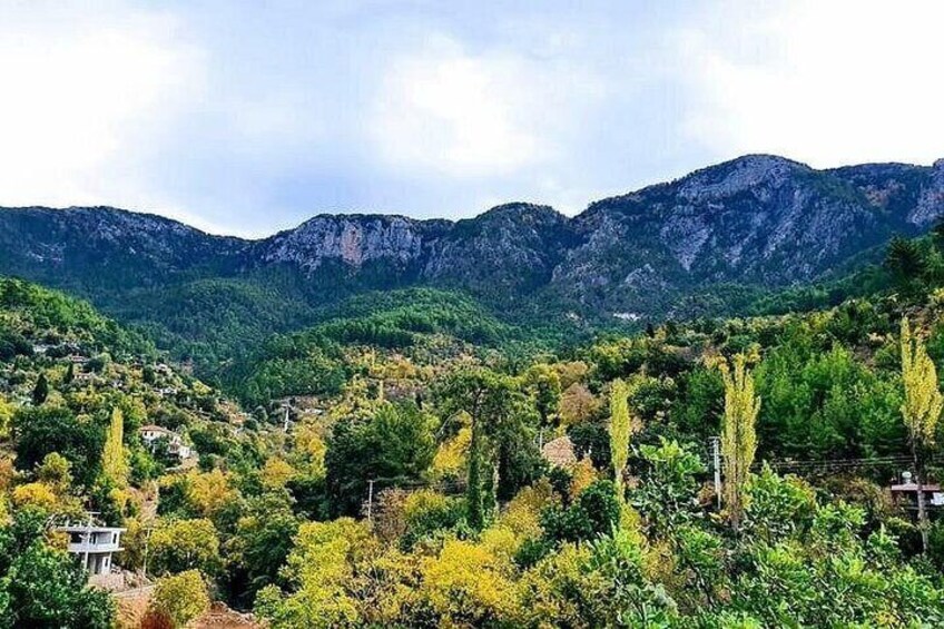 A mountainous landscape with dense greenery and a few scattered buildings. 2
