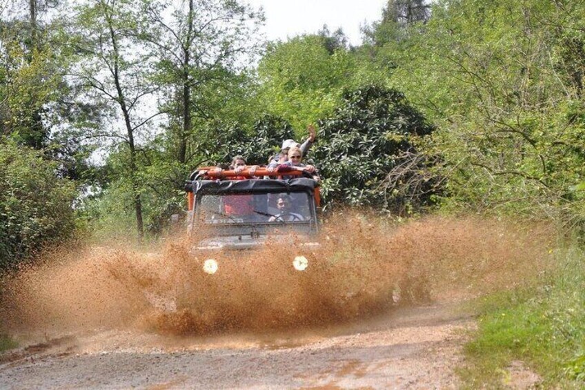 A vehicle driving through a forested area, kicking up dust. 1