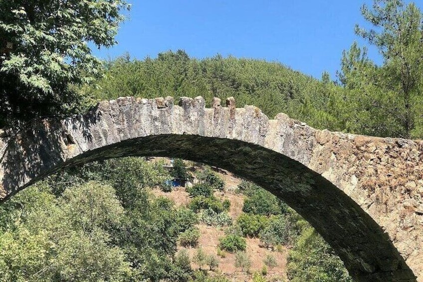 A stone bridge arching over a valley with trees and a hill in the background. 5