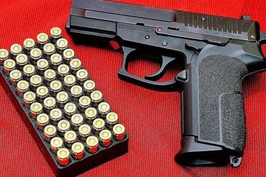 A handgun and a magazine with bullets on a red background. 1